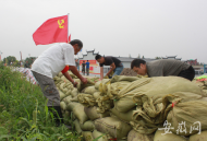 南淝河老黨員老水利心系汛情  組團(tuán)來當(dāng)巡堤“顧問”