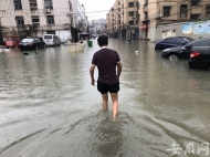 合肥城區8路口路段積水嚴重車輛無法通行  3個高速道口關閉