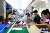 企业建在村民家门口 能人回乡助力脱贫攻坚