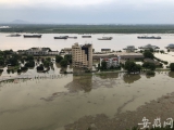 池州主城区城北防洪墙外: 江河连成一片 部分房屋泡在水中