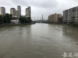 合肥郎溪路二十埠河水位上涨  河边景观带被淹没