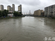 合肥郎溪路二十埠河水位上漲  河邊景觀帶被淹沒
