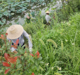 汛期正显脱贫攻坚实效