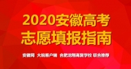 平行志愿如何填？ 合肥龙翔高复学校名师支招高考志愿填报（二）