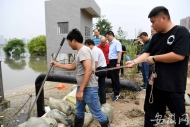 合肥濱河路樅陽路泵站重大防汛隱患基本得到控制