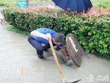 雨情告急！合肥城管、交警、环卫工人伸出援助之手