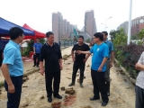肥東縣政府領(lǐng)導(dǎo)實地解決肥東縣龍?zhí)翆W(xué)校內(nèi)澇