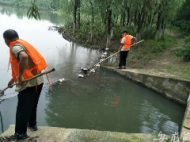 為下游減壓 合肥翡翠湖、南艷湖暫不泄洪