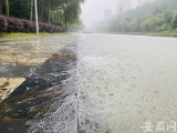 受持续降雨影响 合肥匡河水位上升 多处逼近岸边