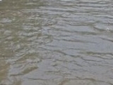 合肥市气象台发布暴雨黄色预警信号