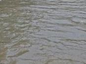 合肥市氣象臺發布暴雨黃色預警信號