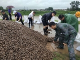 双河镇：防汛一线勇担当 青年干部践初心