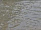 Ⅱ級！安徽變更重大氣象災害（暴雨）應急響應
