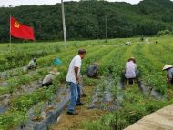 網(wǎng)友咨詢7月份洪災(zāi)過后的補助   巢湖市回復