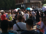 安徽高考志愿今日开填 刚达线考生如何填志愿