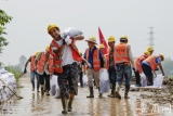 肥西600多建筑工人驰援丰乐河防汛大堤