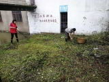 宜秀区大龙山镇桃元社区：防汛扶贫两不误