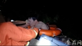 黄山屯溪区一男子凌晨落水     8名消防员紧急救援