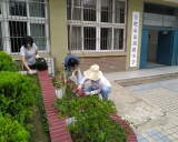 合肥市巢湖路小学开展“劳动最光荣 党员在行动”主题活动