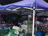 合肥周谷堆菌菇市场乔迁新区