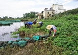 皖河农场公司防汛生产统筹兼顾两不误