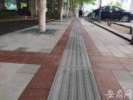 合肥馬鞍山路（太湖路—南二環）品質提升工程順利完工