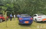 合肥滨湖严打“毁绿”停车 半个月已查14起共罚1800元