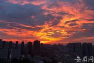 合肥晚霞染紅天(組圖)
