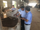 邮储银行安庆市分行戴四清行长一行赴望江调研走访企业