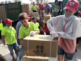 庐江：文明实践，志愿者一直在行动