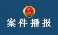 “90后”小伙沉迷賭博  為籌賭資詐騙440余萬