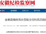 金寨县槐树湾乡四级主任科员吕晗接受审查调查