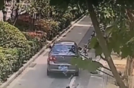 男子駕車撞壞隔離欄覺得“事不大”開溜  被罰款1000元記12分