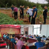 韩摆渡镇苏北村：小花生助推大产业