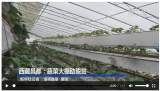 西藏昌都：蔬菜大棚助脱贫