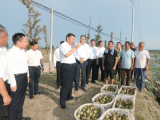 习习清风拂蒙洼 ——沿着习近平总书记足迹看蒙洼蓄洪区变化