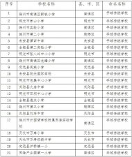 滁州市手球傳統學校評審結果公示