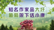 知名作家品大圩 葡萄架下話小康