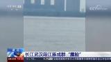 看着就开心！成群江豚在长江翻转跳跃