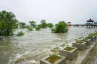 網友建議謹防“淡水白鯧”破壞巢湖水域生態   巢湖管理局回復
