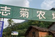 走向我們的幸福生活｜舒城“李子柒”?幫山區鄉親直播帶貨忙