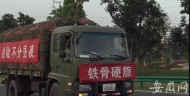 “鐵骨硬旅”撤離！阜陽人民隆重相送