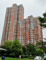 淮南金地国际城小区外墙皮大面积脱落   存在安全隐患亟待维修