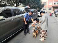 合肥整治不文明養犬:組織千人巡查執法隊 試點“掌上管犬”