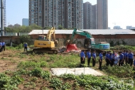 合肥匡河邊長約2公里“違規菜園”被鏟除