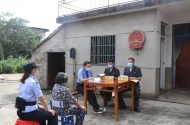 蕪湖八旬老太種植523株罌粟 被判緩刑并處罰金1000元