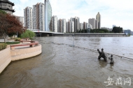  江水继续回落  芜湖网红雕像“一家三口”水退到腿部