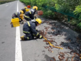 阜阳：货车高速上爆胎侧翻 5万多元黄鳝撒了一地
