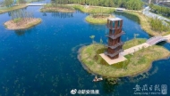 獎杯“打個招呼”就跑了？ 首屆“線上”艾美獎頒獎畫風很搞笑 