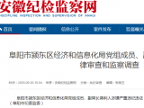 涉嫌严重违纪违法！阜阳颍东区经信局副局长蒋利人被查